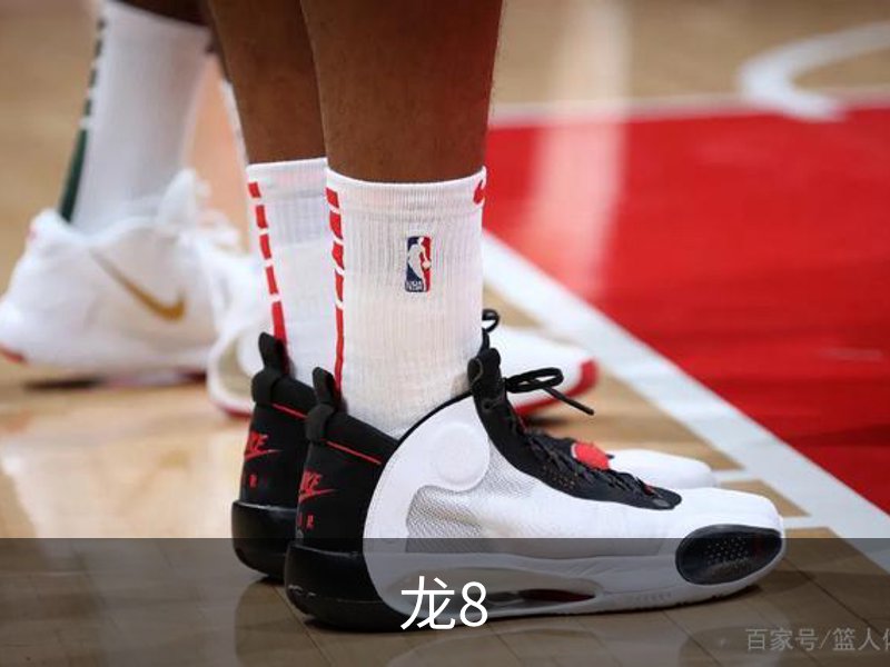 关于龙8